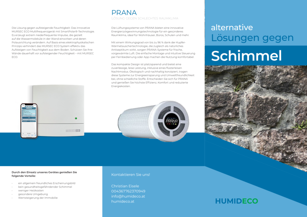 Lösung gegen Schimmel